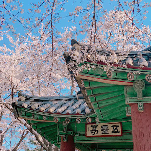 Hayoung Kim Photo 10