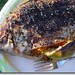 Susan Fish Photo 22