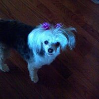 Janet Mccord Photo 19