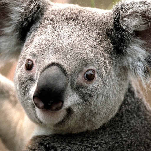 Barbara Read Photo 34