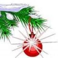 Nancy Palumbo Photo 9