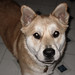 Christina Reck Photo 12