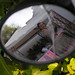 Angela Kraus Photo 24
