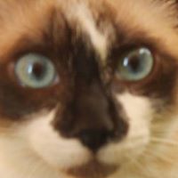 Robyn Durand Photo 8