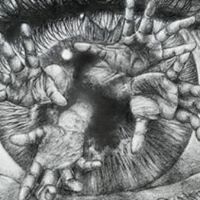 Joseph Landers Photo 17