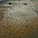 Kathryn Low Photo 20