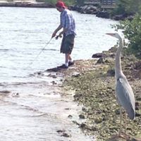 Jesse Mccarthy Photo 14