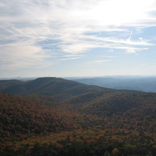 Nathan Greene Photo 41