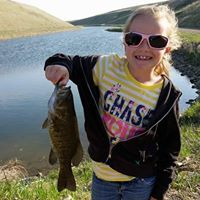 Andrew Majors Photo 10