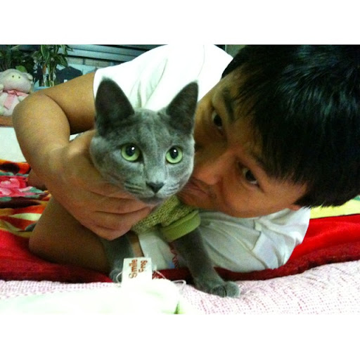 Roy Kim Photo 13