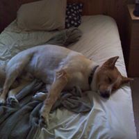 Joey Singleton Photo 14