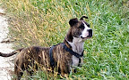 Lisa Wells Photo 30