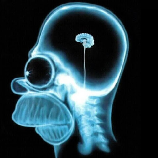 David Pendleton Photo 40