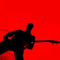 Vickie Hopkins Photo 12