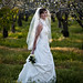 Amy Perry Photo 39