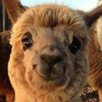 Ruth Newton Photo 27