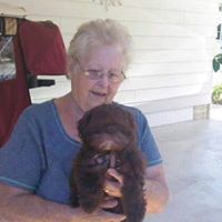 Janice Deyoung Photo 14