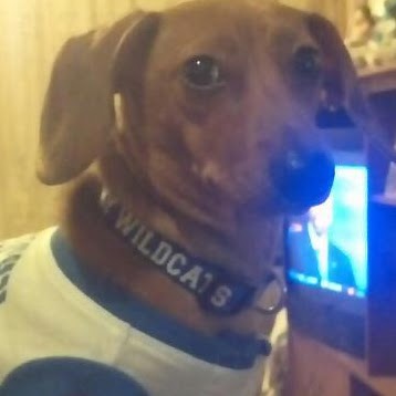 Jacob Richards Photo 19