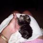 Cynthia Mobley Photo 40