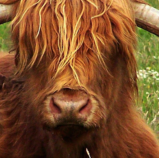 Steven Durham Photo 26