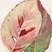 Joyce Winters Photo 31