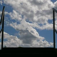 Cynthia Lundgren Photo 4