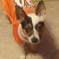 Bobby Davidson Photo 36