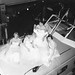 Nancy Hammel Photo 19