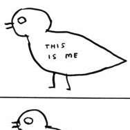 Donna Shepherd Photo 37