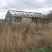 Joyce Green Photo 41