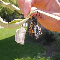 Michele Beal Photo 12