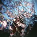 Andrea Miller Photo 29