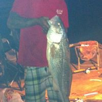 Jeffery Weber Photo 23