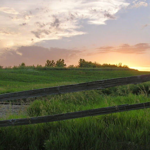 Lindsey Roach Photo 15