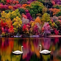 Sandy Cowan Photo 17