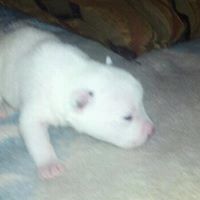 Kenneth Kendall Photo 12