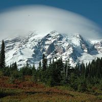 Roy Baker Photo 11 Roy Baker Photo 11