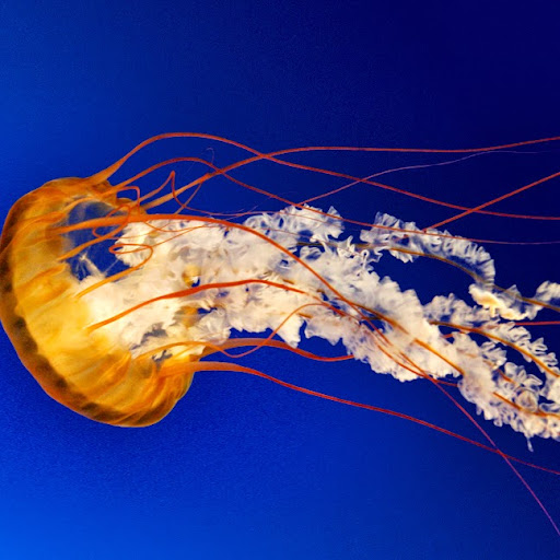 Nathan Anders Photo 9