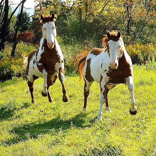 Sandra Cooley Photo 22