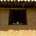 Sandra Roof Photo 16