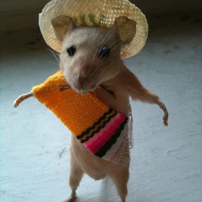 Candy Williams Photo 20