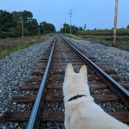 Krista Christensen Photo 8