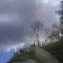 Jennifer Tripp Photo 6