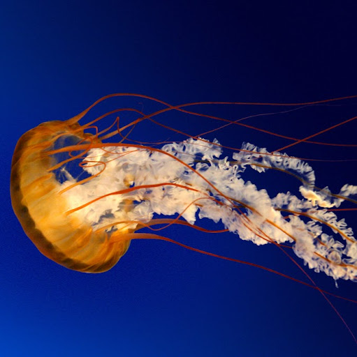 Toni Watson Photo 22