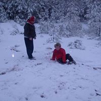 Ann Thacker Photo 9