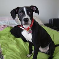 Crystal Mathes Photo 2