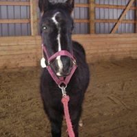 Annie Peterson Photo 17