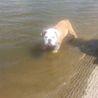 Jerry Steele Photo 21