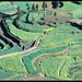 Ping Luo Photo 27