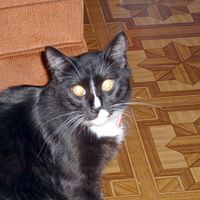 Roberta Pate Photo 3